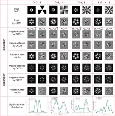 Capturing the amplitude and phase profile of the vortex beam based on coherent detection